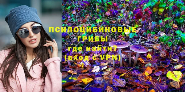 прущая мука Михайлов
