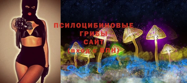 прущая мука Михайлов