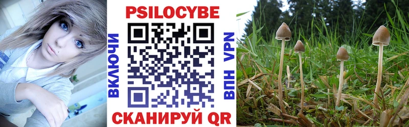 Галлюциногенные грибы Magic Shrooms  Гаджиево 